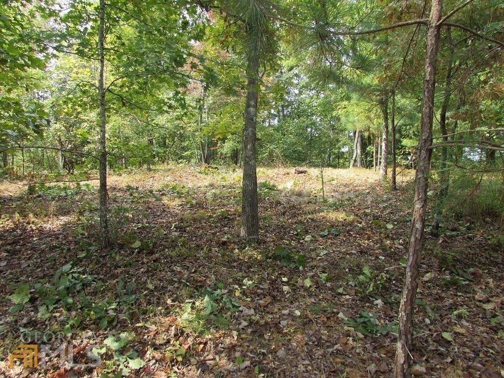 LTS 107-8 Harris Creek Drive - Photo 1