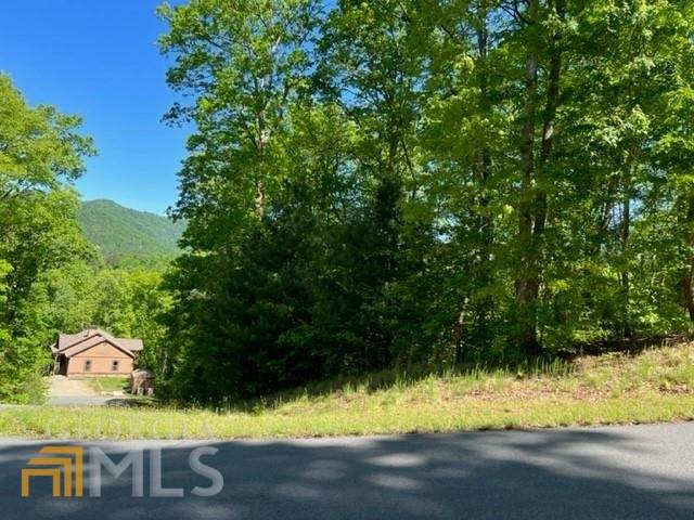 LOT 6 Wolfpen Gap - Photo 1
