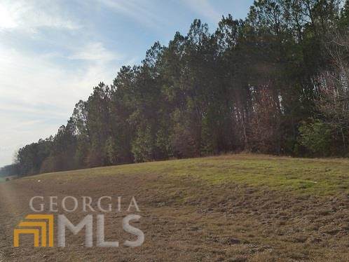 00 Hwy 441 Bypass/Mace Cannon - Photo 1
