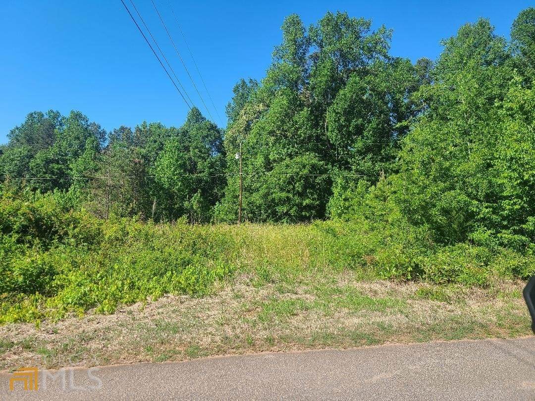 1005 Hayes Wilbanks Road - Photo 1