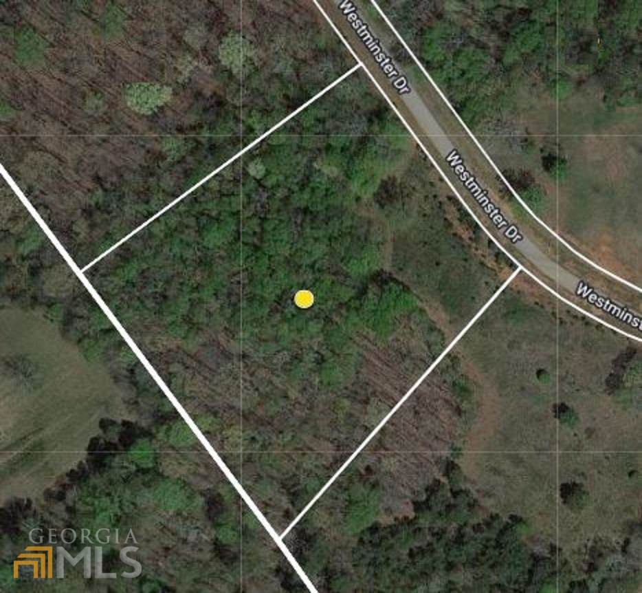887 Westminster Drive - Photo 1