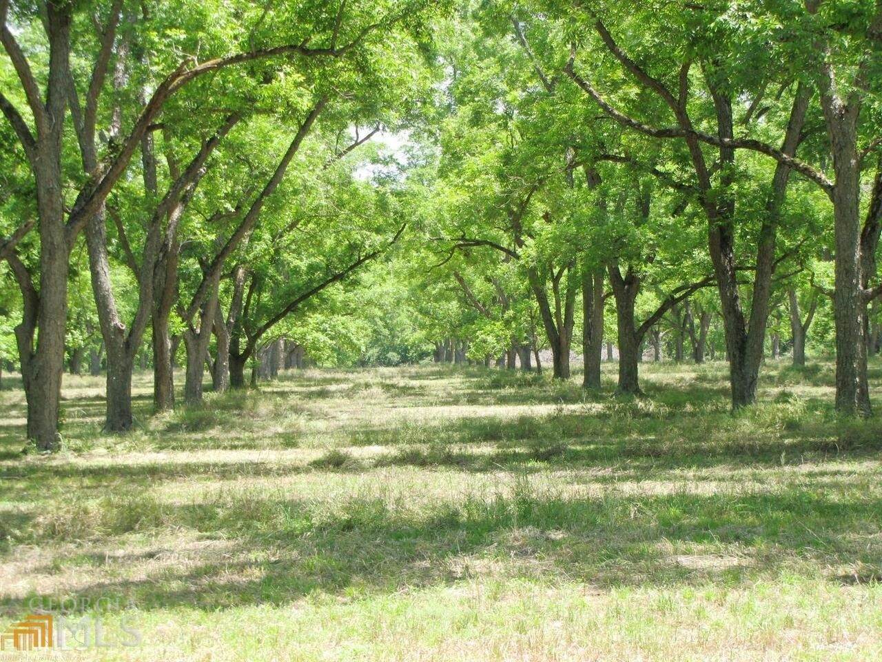 0 Bargeron Grove Road - Photo 1