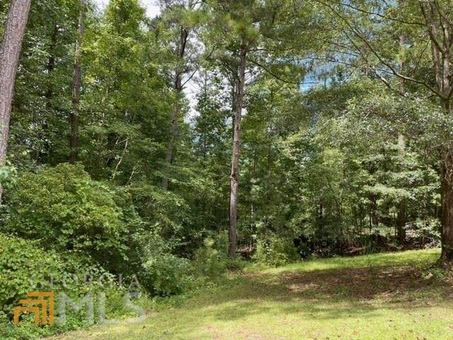 0 Moody Farm Road - Photo 1