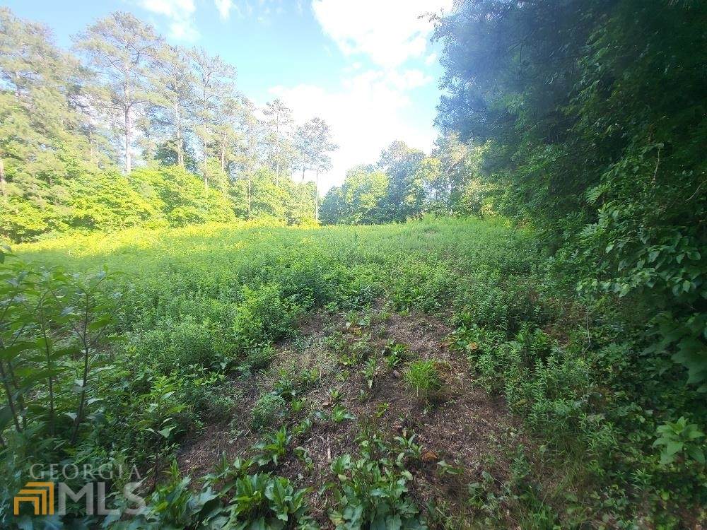 4290 Freeman Road - Photo 1