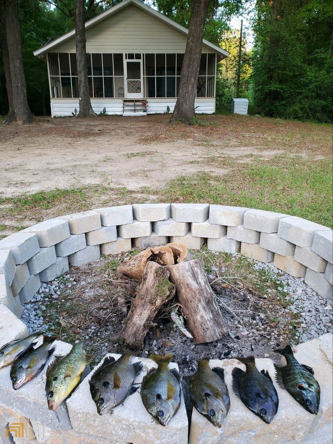 1054 Holly Grove Church Road - Photo 1