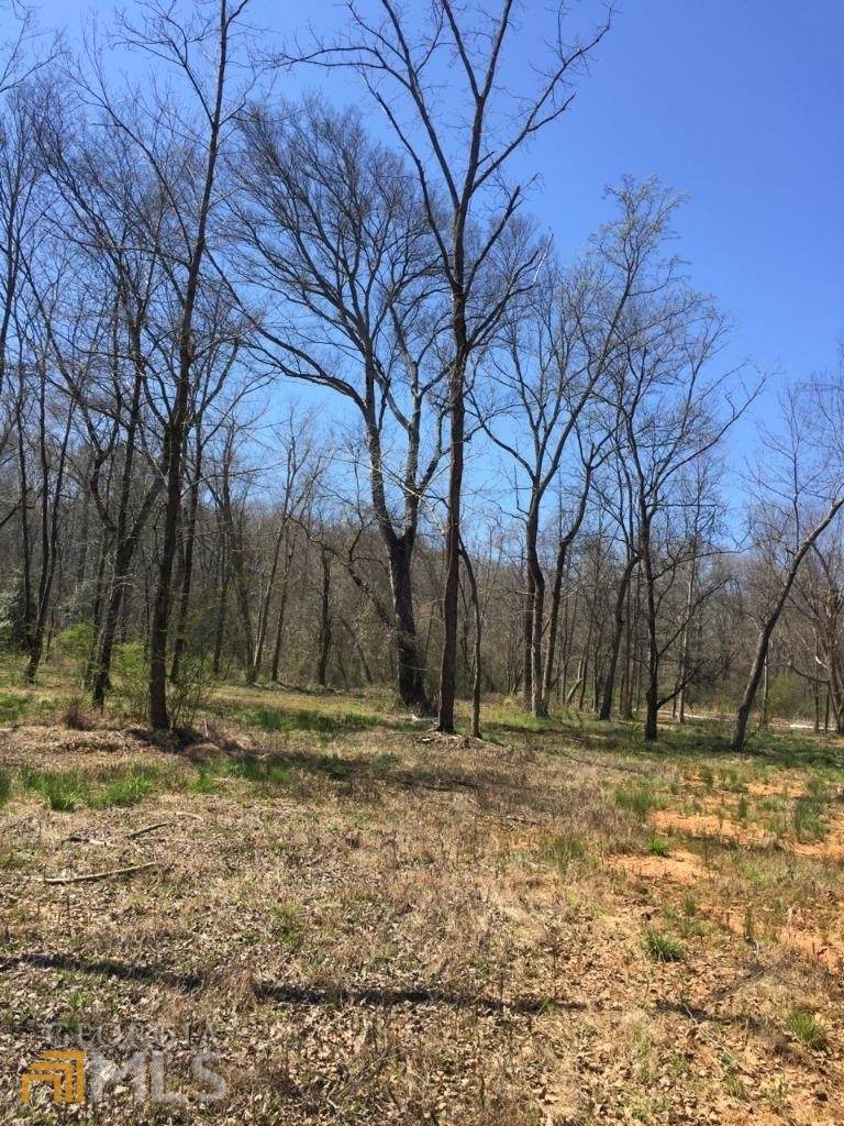 0 Calhoun Road - Photo 1