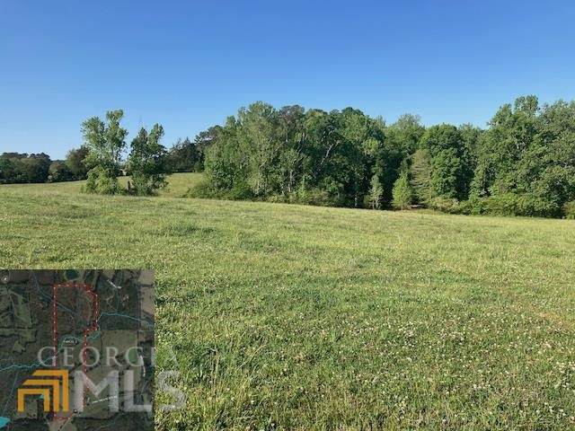 0 Chalybeate Springs Road - Photo 1