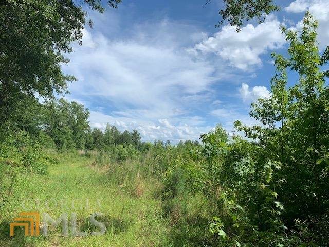 0 Old Davisboro Rd - Photo 1