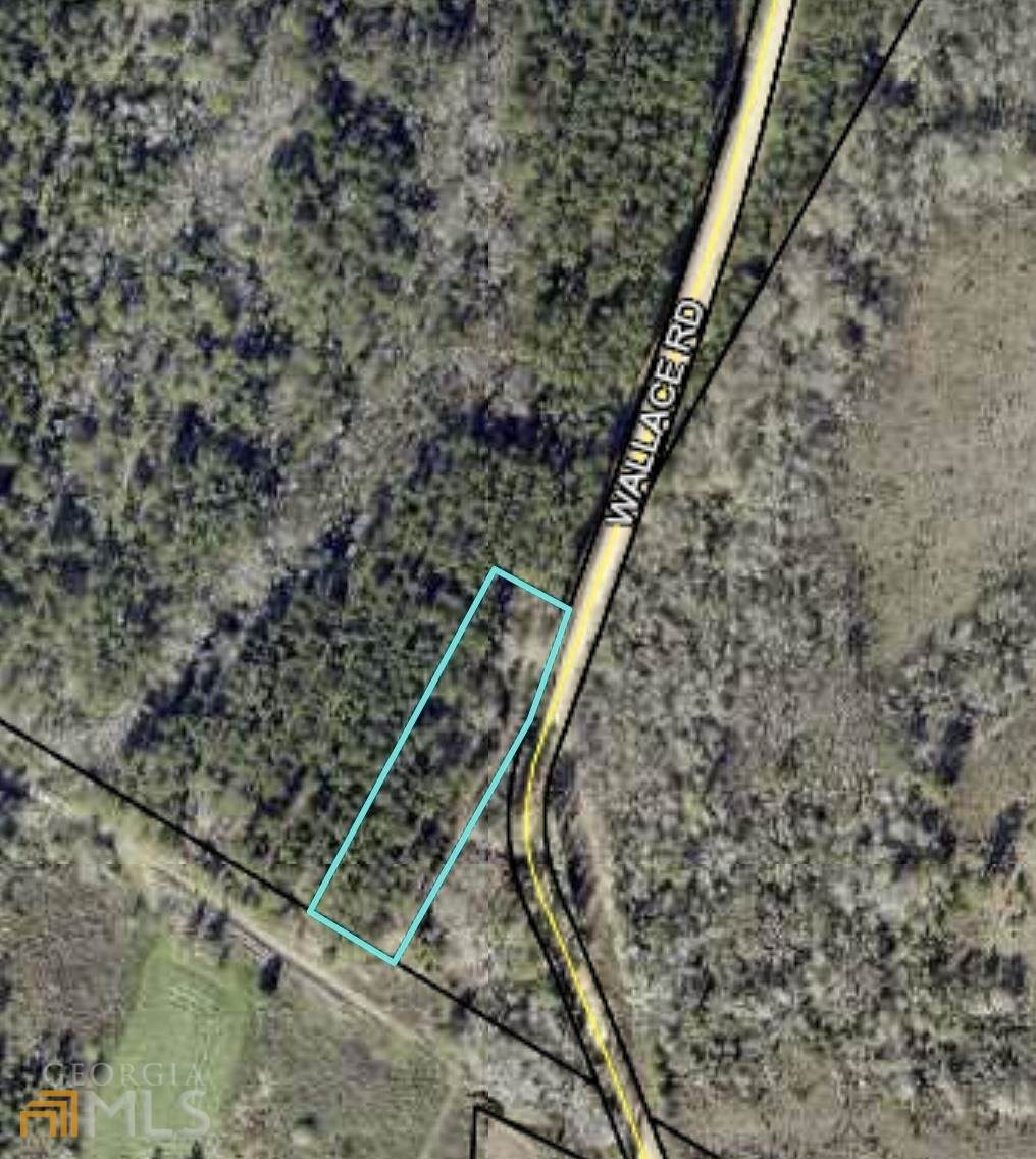 0 Wallace Road - Photo 1