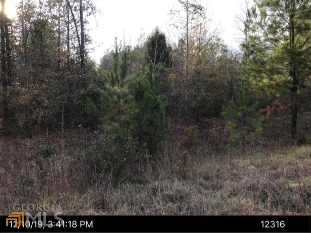 104 Rhett Trail Drive - Photo 1