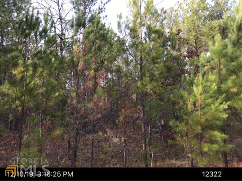 118 Rhett Drive Trail - Photo 1