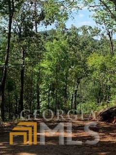 16 Yonah Lake Road - Photo 1