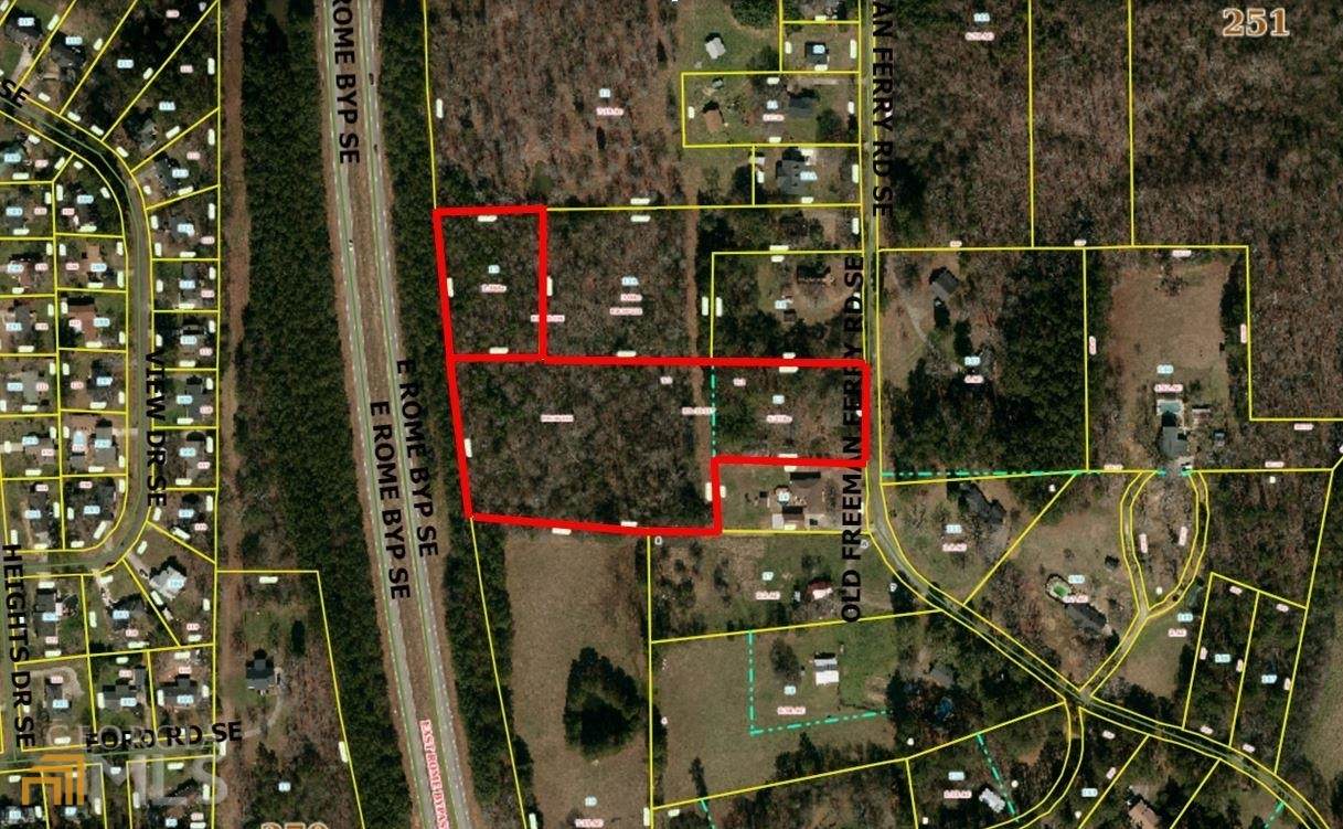 0 Old Freeman Ferry Road - Photo 1