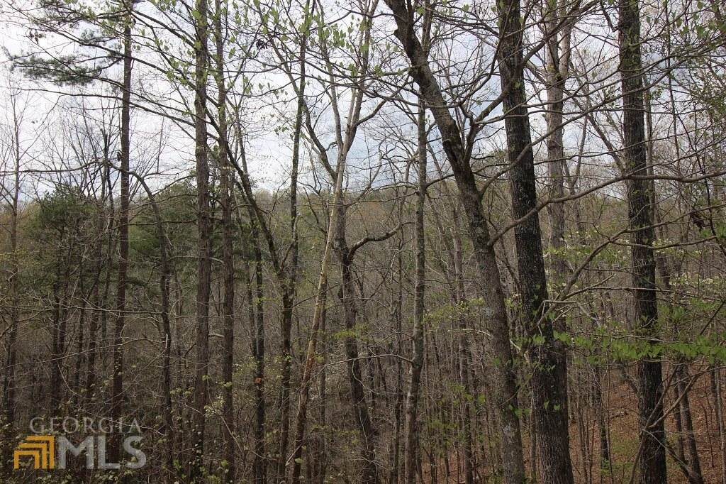 0 Mountain Creek Hollow - Lt 101R Drive - Photo 1