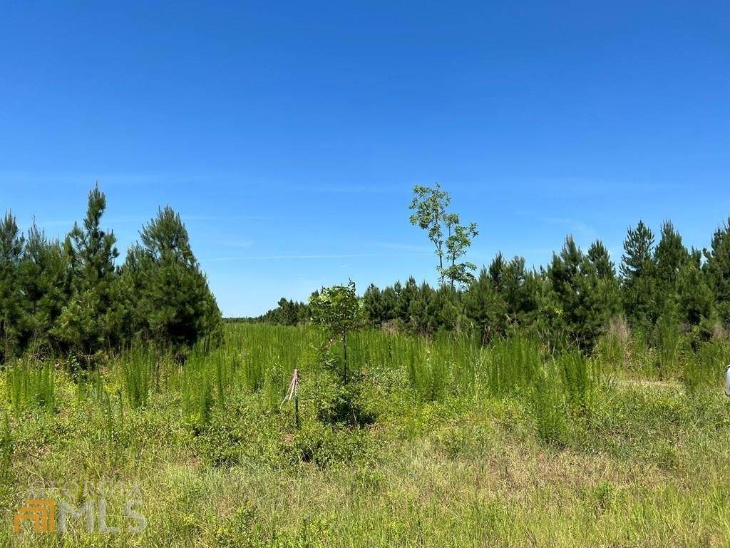 1537 Laurens Hill Church Road - Photo 1