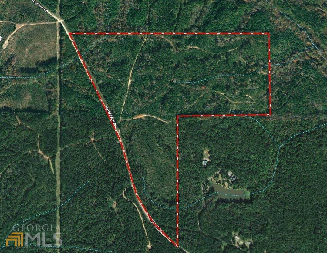88.71 AC Waverly Hall Road - Photo 1
