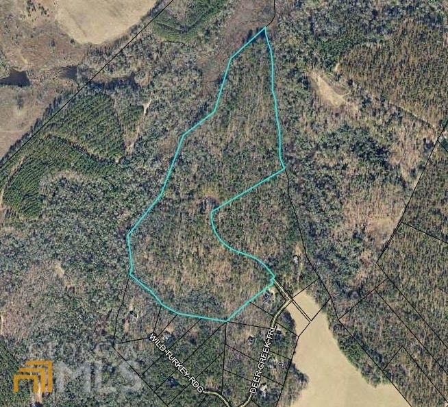 0 Deer Creek Trail - Photo 1