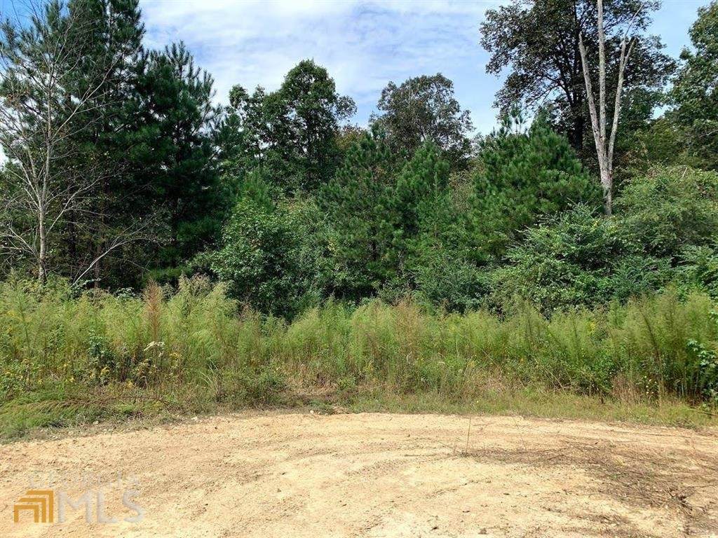 00 Fruit Farm Road - Photo 1
