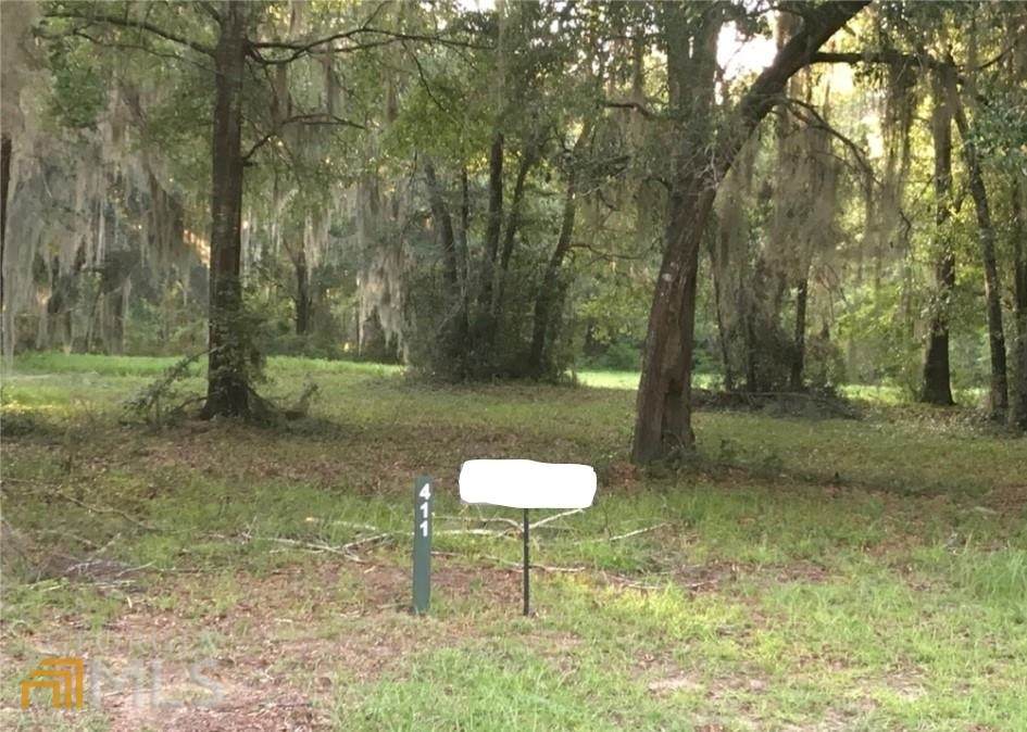 0 Blackberry Lane - Photo 1