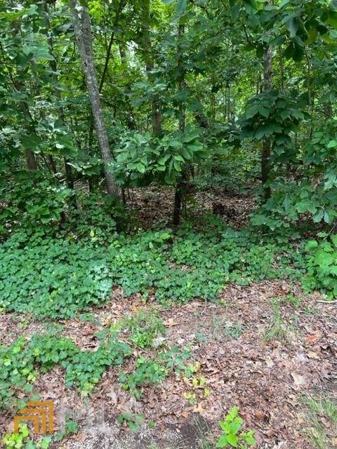 0 Arrow Lane - Photo 1