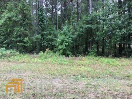 0 Carl Bethlehem Road - Photo 1