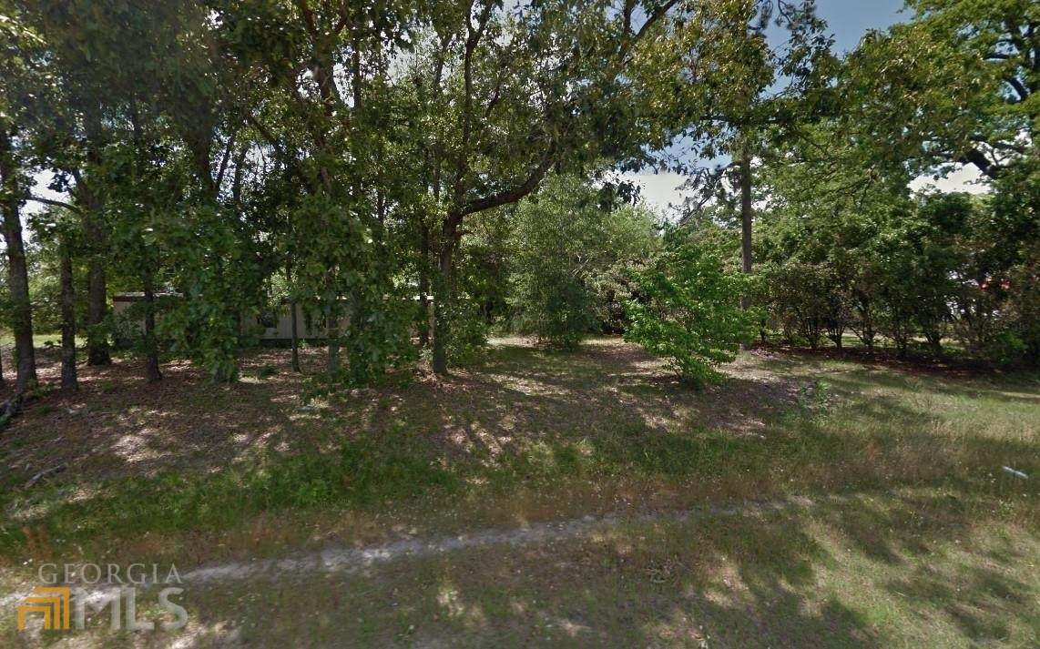 4870 Statesboro Highway - Photo 1