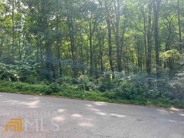 0 Crooked Trail - Photo 1