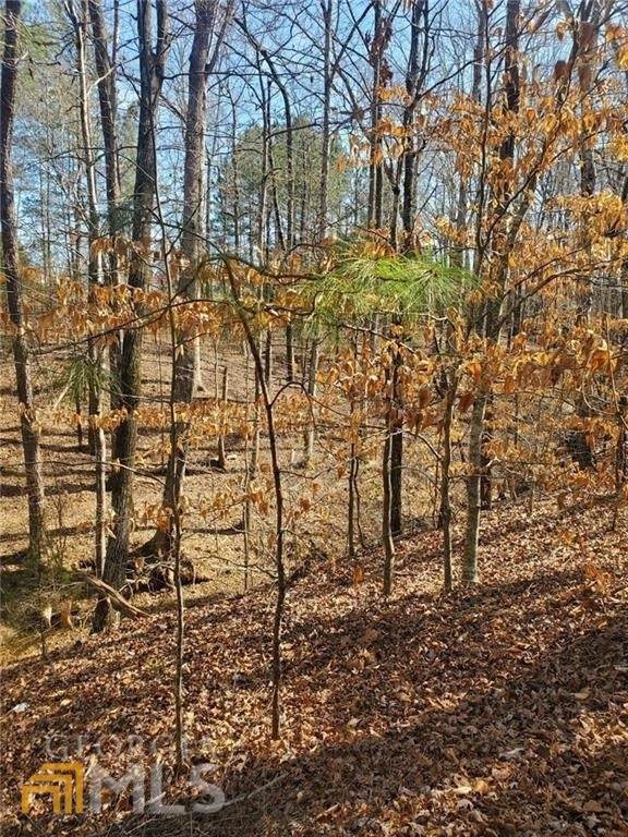 4120 Alayna Lee Circle - Photo 1