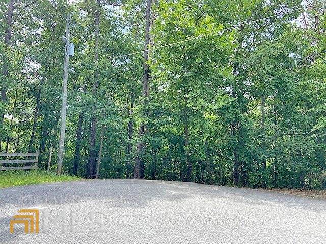 0 (LOT 22) Calhoun Road - Photo 1
