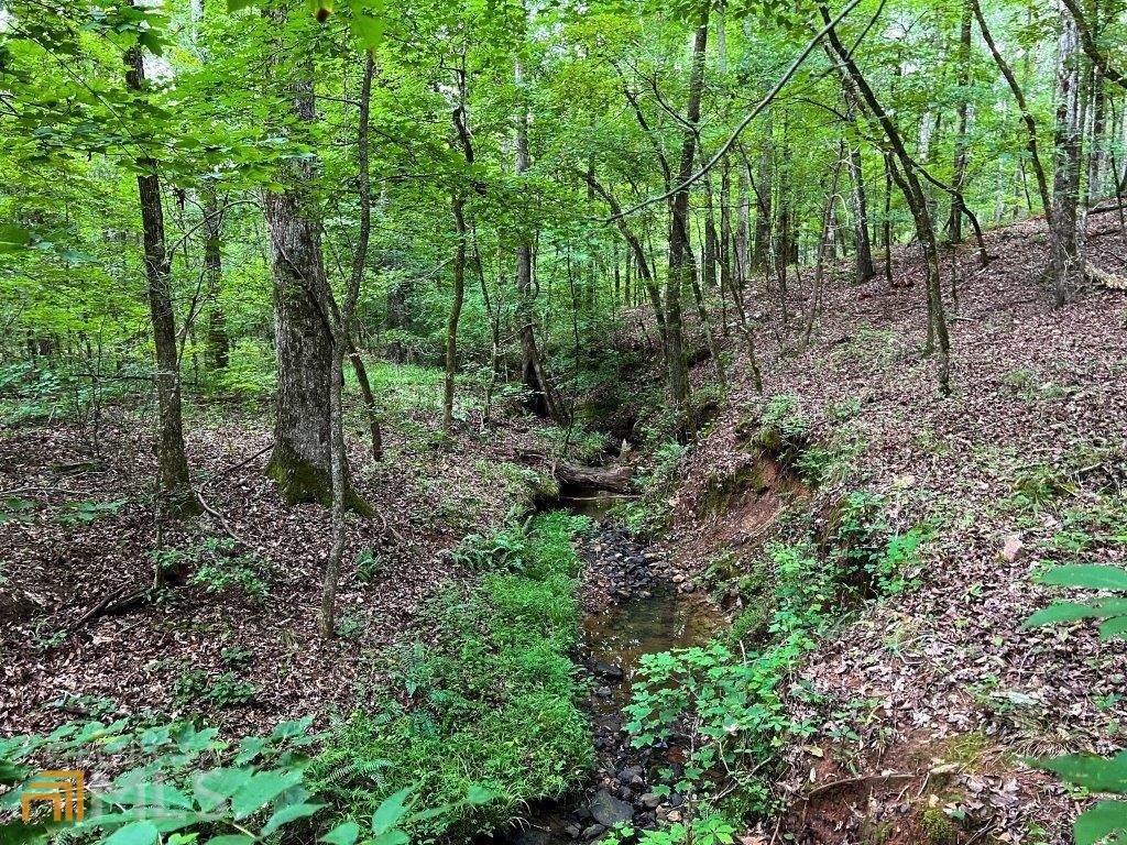 0 Oconee Springs Road - Photo 1