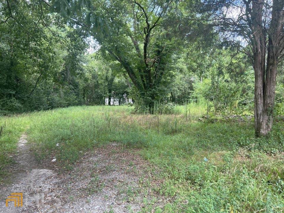 975 Dorothy Street - Photo 1