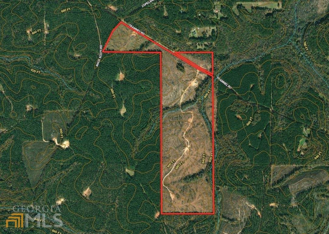 162.38 AC Trammel Road - Photo 1