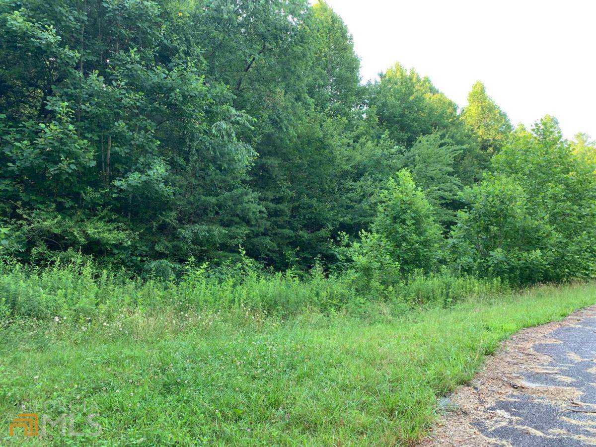LT 13 Mountain Ridge Drive - Photo 1