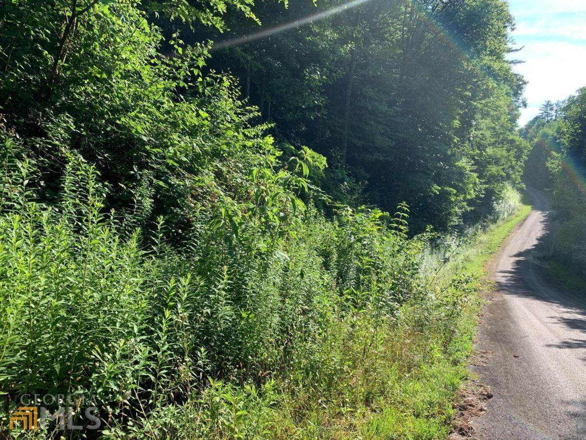LT 5 Shake Hollow Road - Photo 1