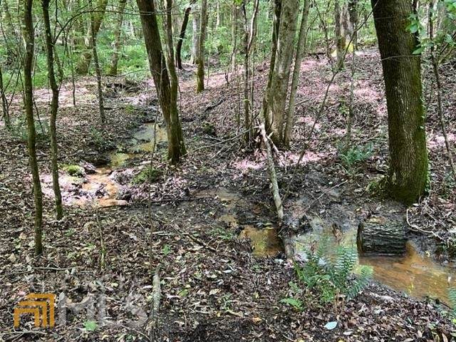 282 Jones Farm Road - Photo 1