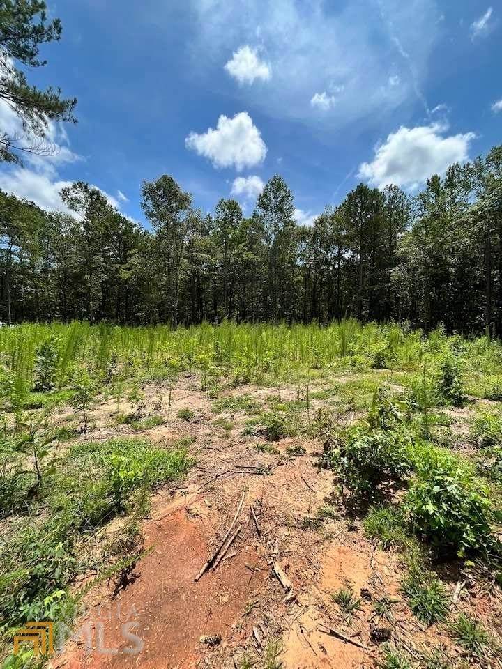 1495 Willis Road - Photo 1