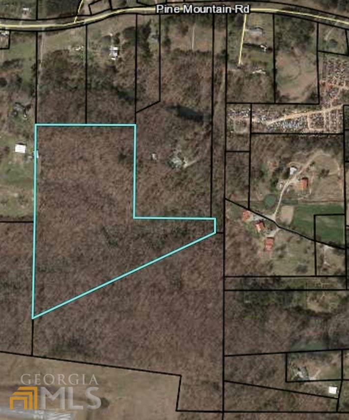 TRACT 1 Pine Mountain Road - Photo 1