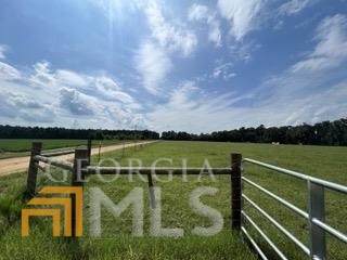 1073 Banks Dairy Road - Photo 1