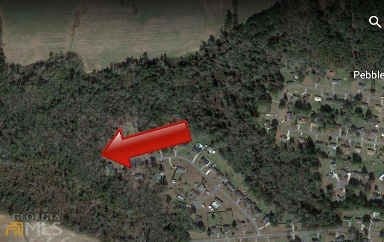 00 Off Pebble Creek Dr Road - Photo 1