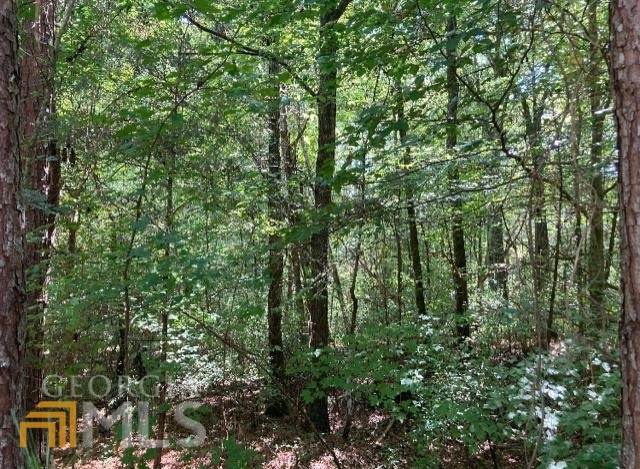 00 LOT 22 Victoria Court - Photo 1