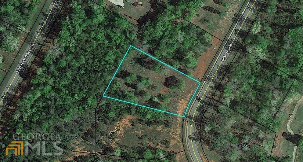 106 Birch Circle - Photo 1