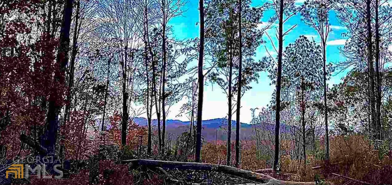 0 Oak Hill Rd- 57.30 Acres - Photo 1