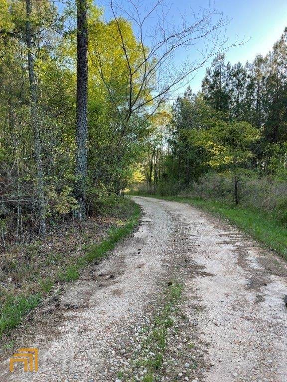 0 Crawfordville Road - Photo 1