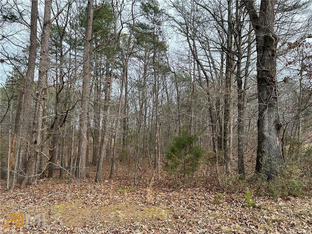 0 Teems Road - Photo 1
