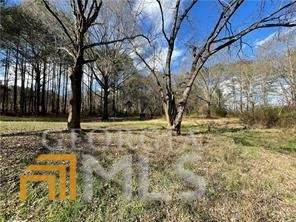 2418 Joe Frank Harris Parkway - Photo 1