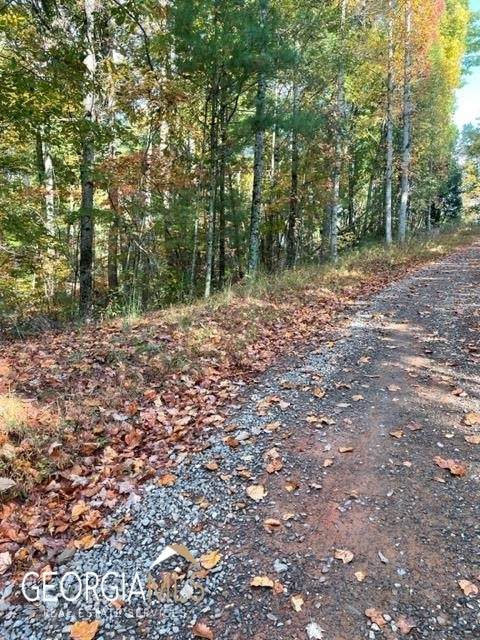 0093 Amber Lane - Photo 1
