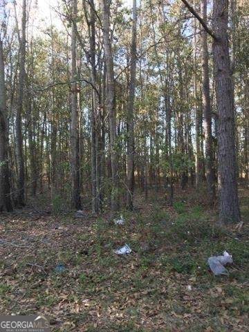 0 Pinetree Boulevard - Photo 1