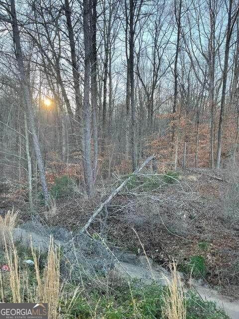 2202 Jesse Jewell Parkway - Photo 1
