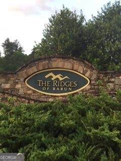 LOT 113 Mountain Ridge Drive - Photo 1