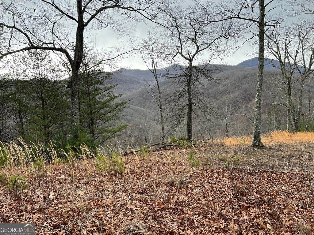 LOT 137 Shiloh Ridge - Photo 1